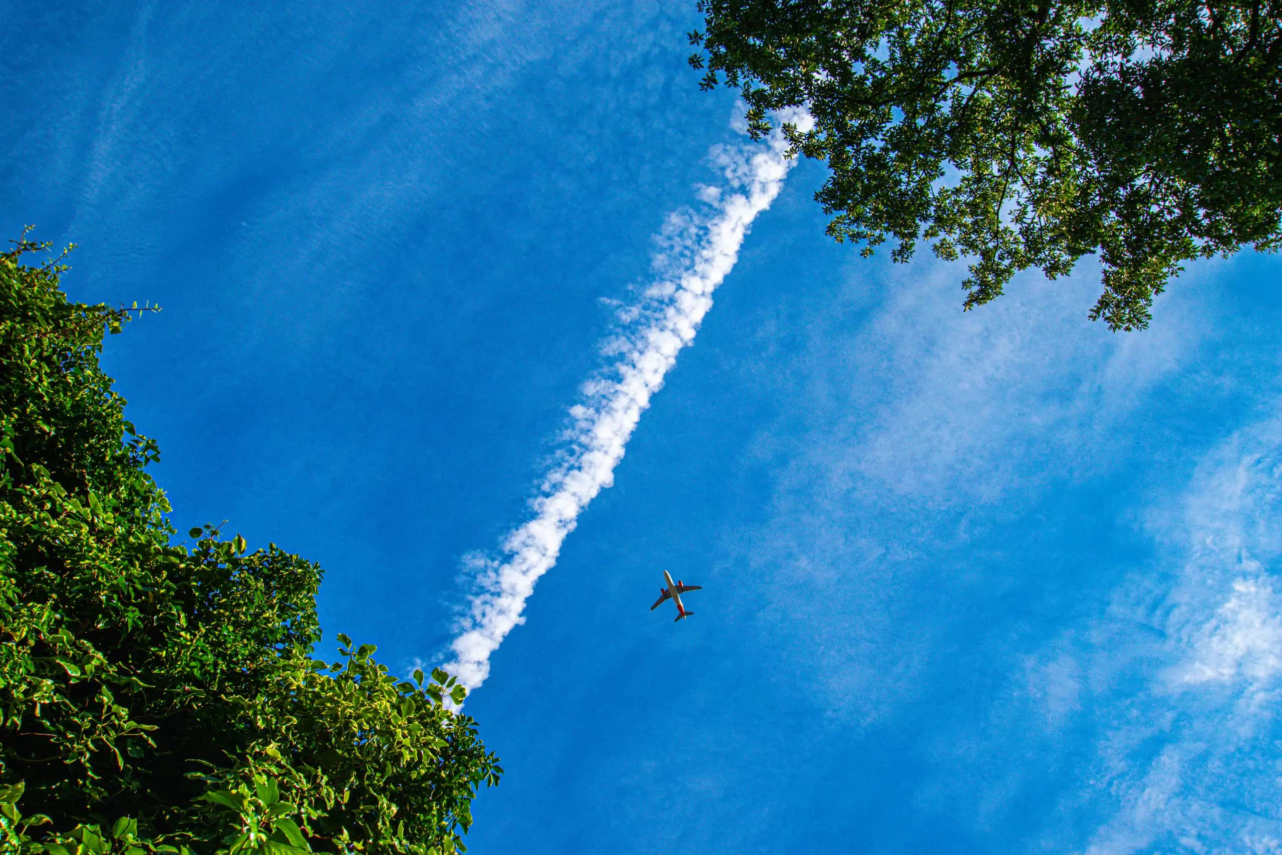 Portfolio showcase - Photo by Alex Smith